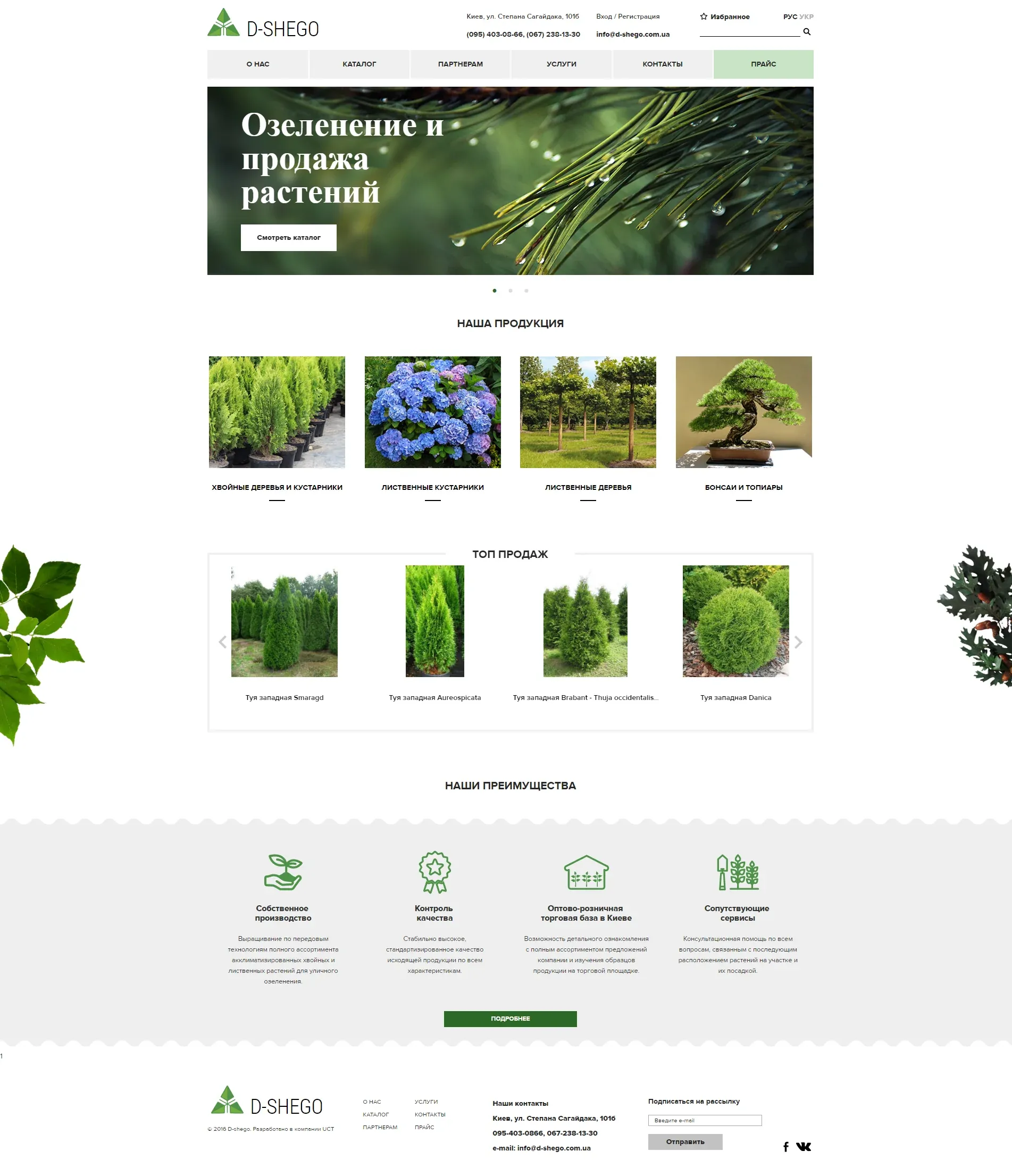 Главный экран проекта «D-Shego»